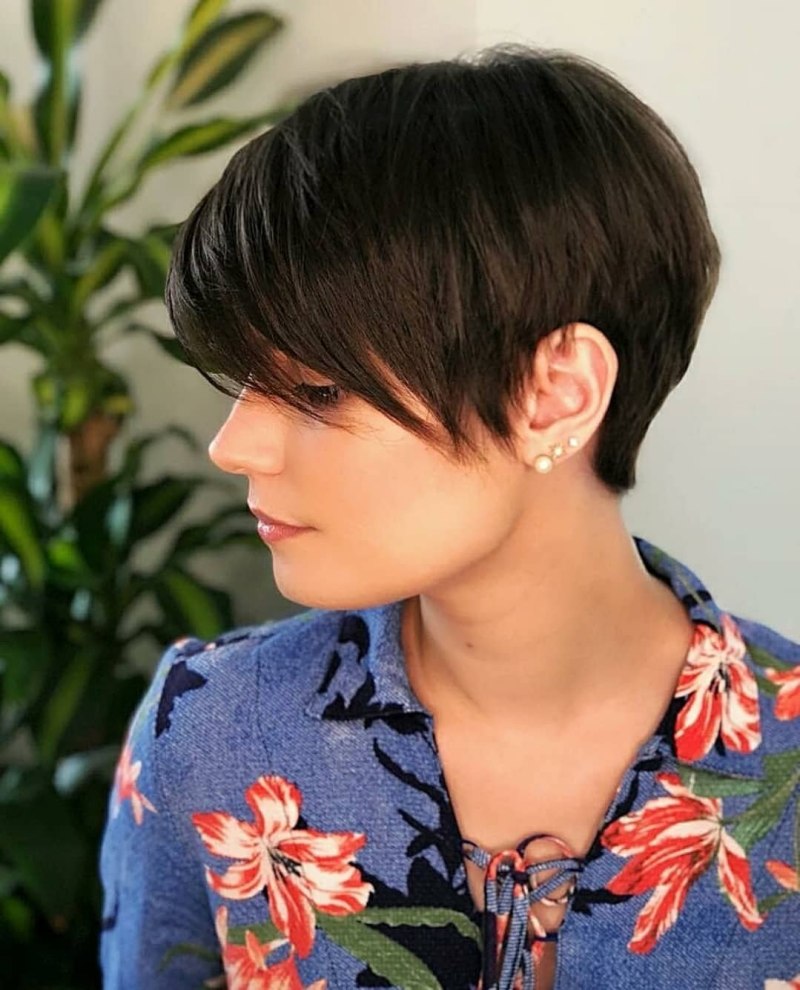 Пикси андеркат Боб