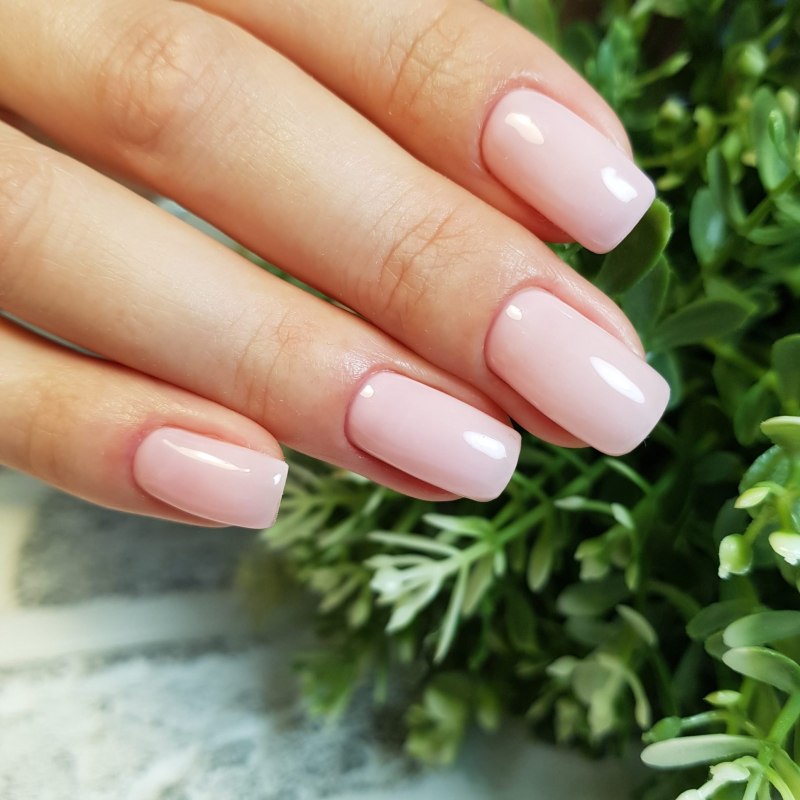 Полуфренч 2020