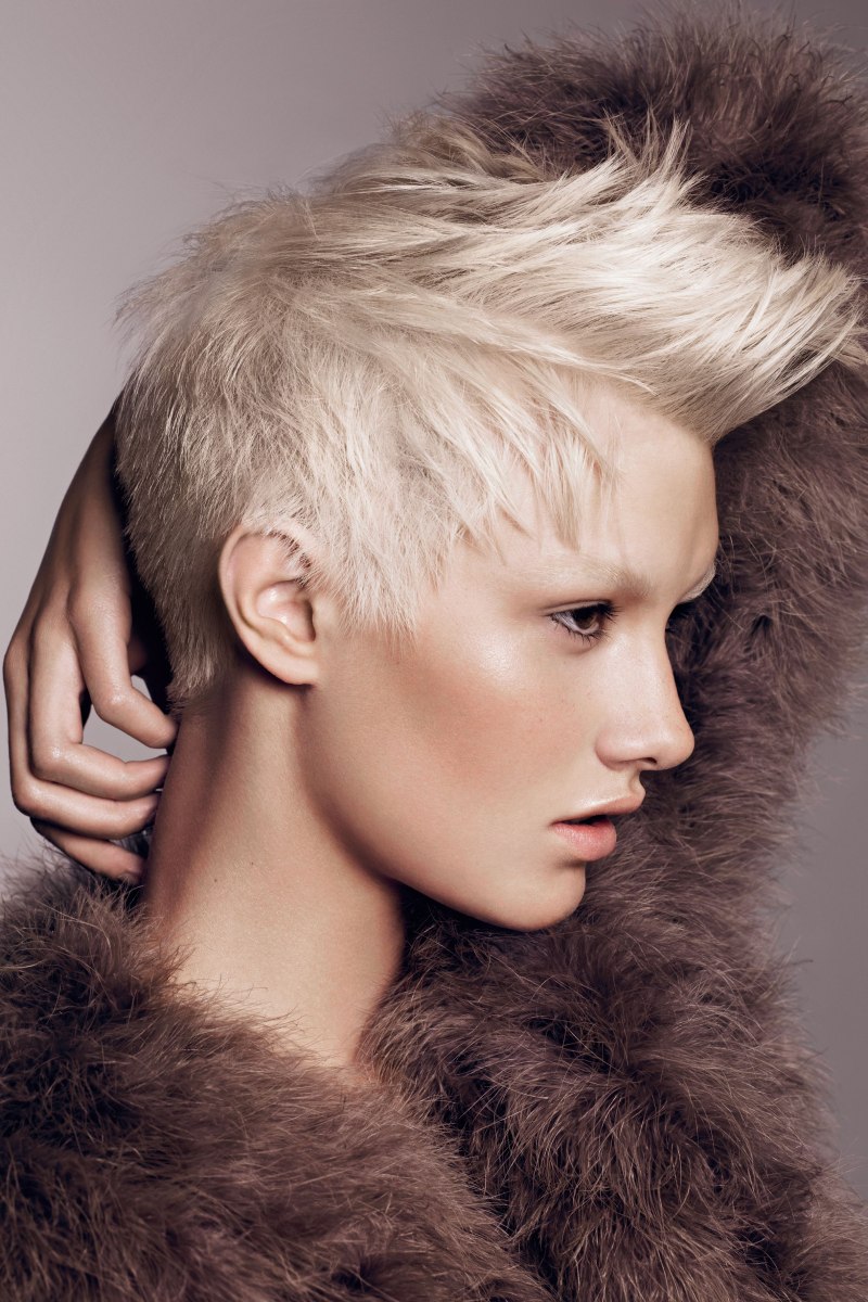 Юлия Костюшкина Пикси