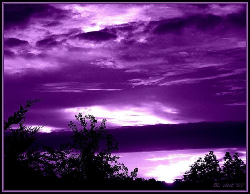 Фиолетовые фото