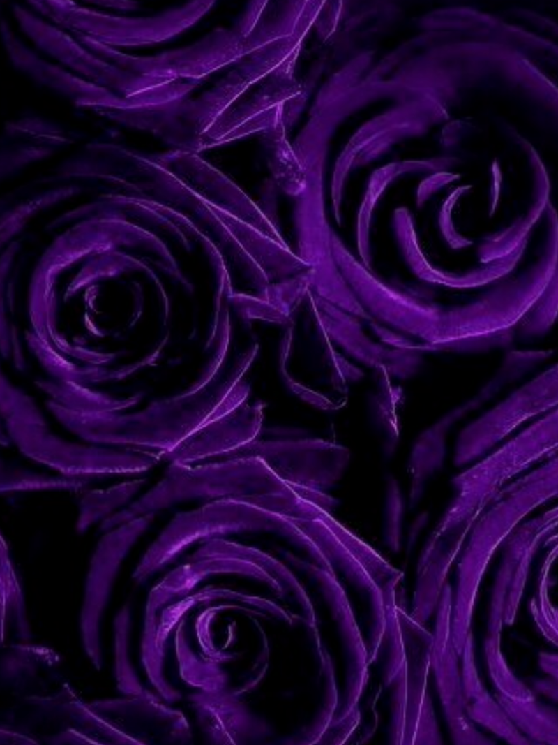 Ногти Лаванда и черный