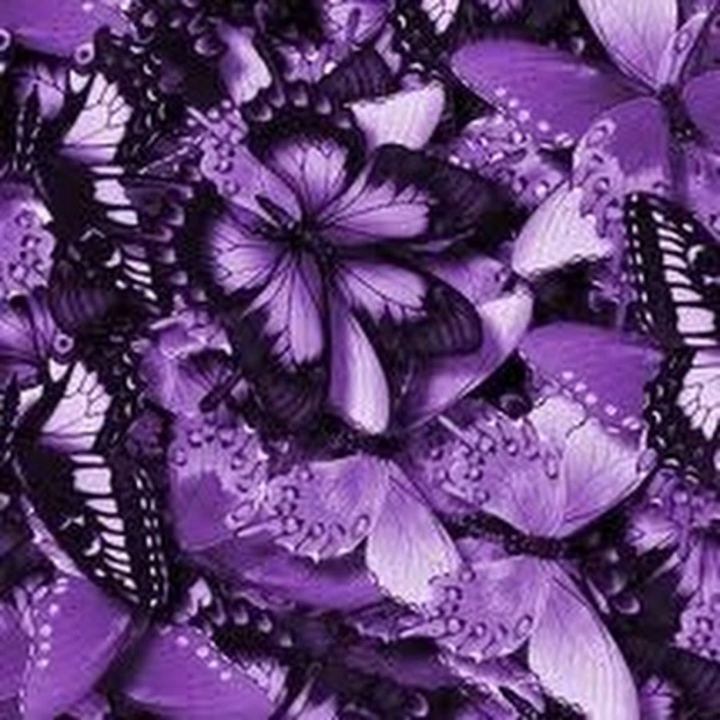 Эстетикаьабочка фиолетовая