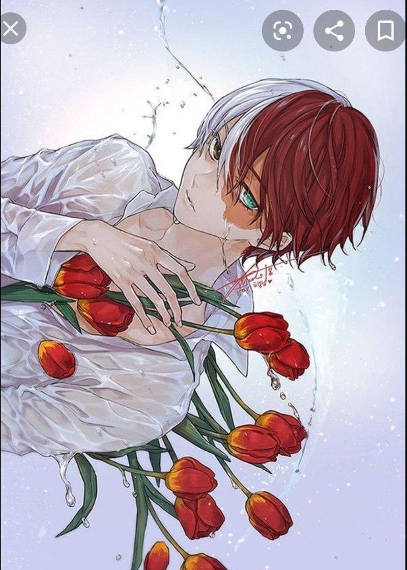 Шото Тодороки роза