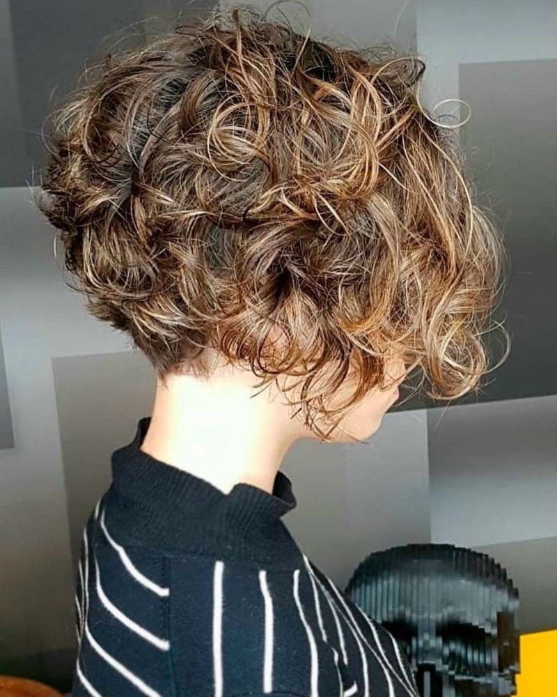 Пикси Боб на волнистые волосы