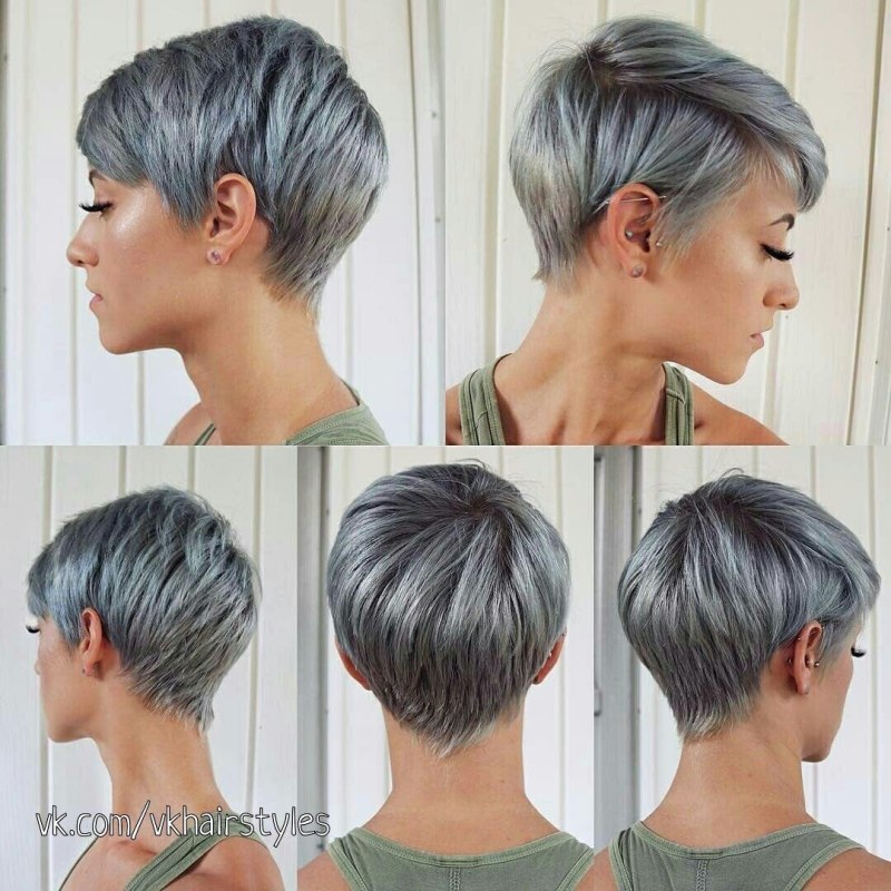 Стрижки Пикси, Гарсон, Пикси Боб