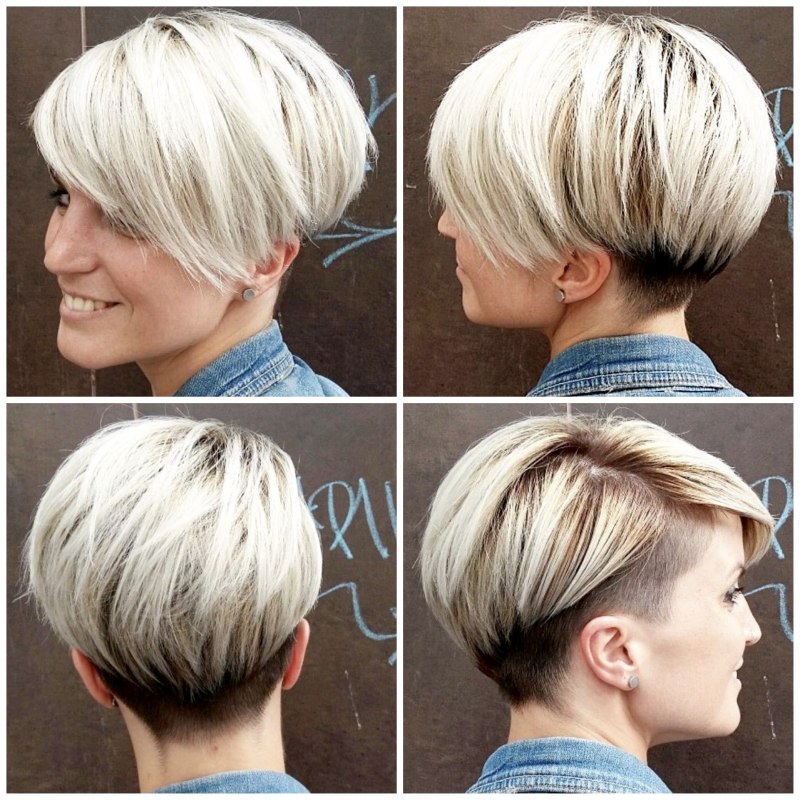 Пикси Боб сзади