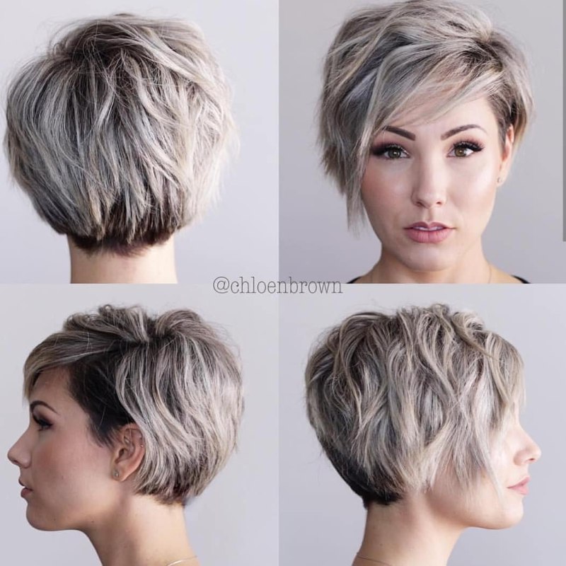 Стрижка Пикси-Боб вид со всех сторон