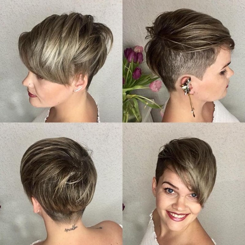 Пикси андеркат Боб