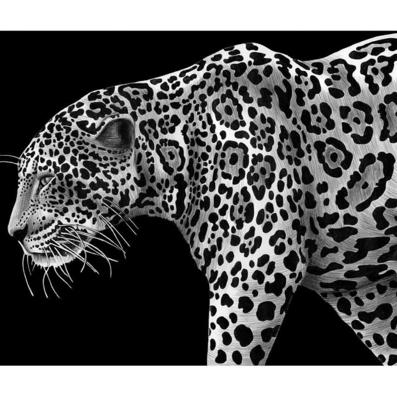 Леопард трафарет