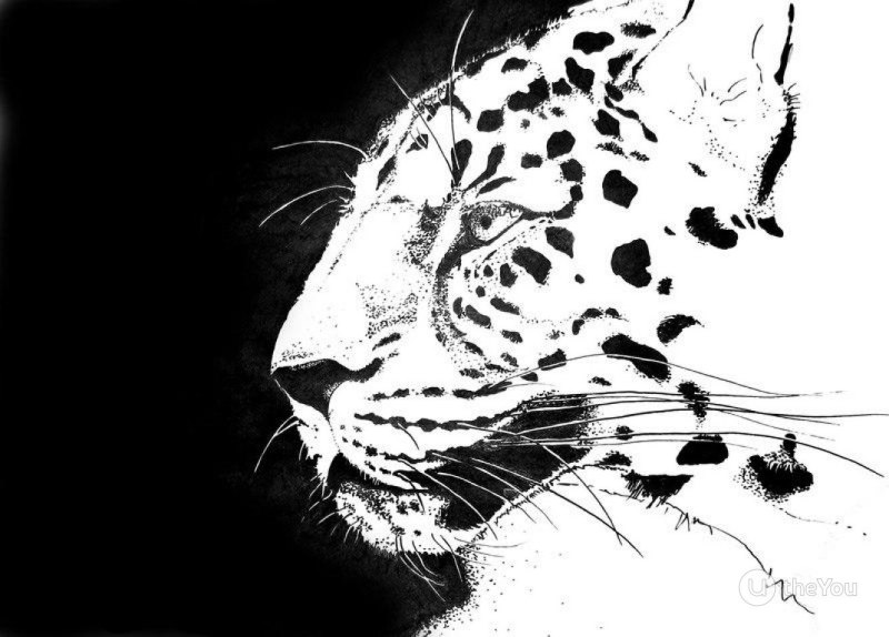 Леопард эскиз