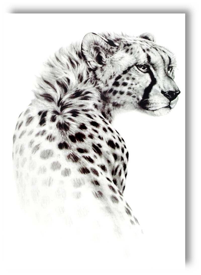 Маска снежного Барса