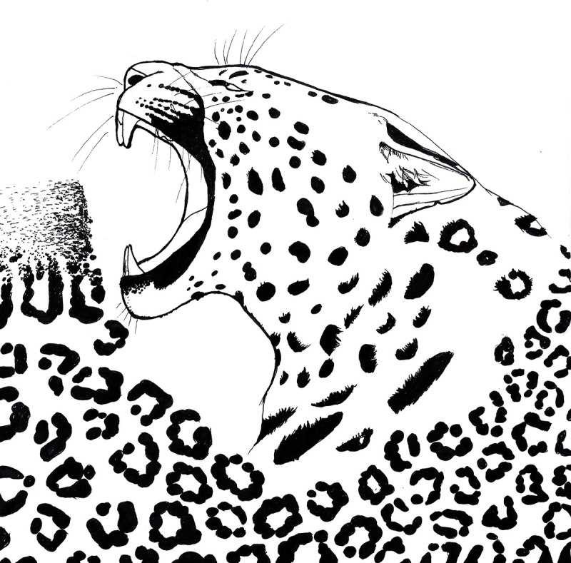Трафарет леопарда на стену