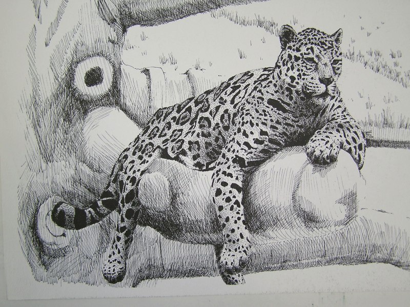 Фрактальные животные