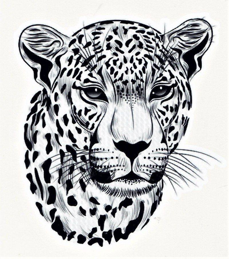 Векторное изображение гепард
