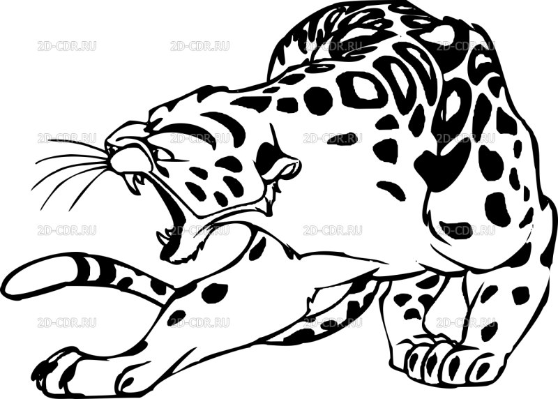 Ирбис эскиз