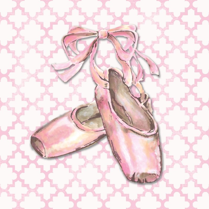 Балетные туфли мужские рисунок