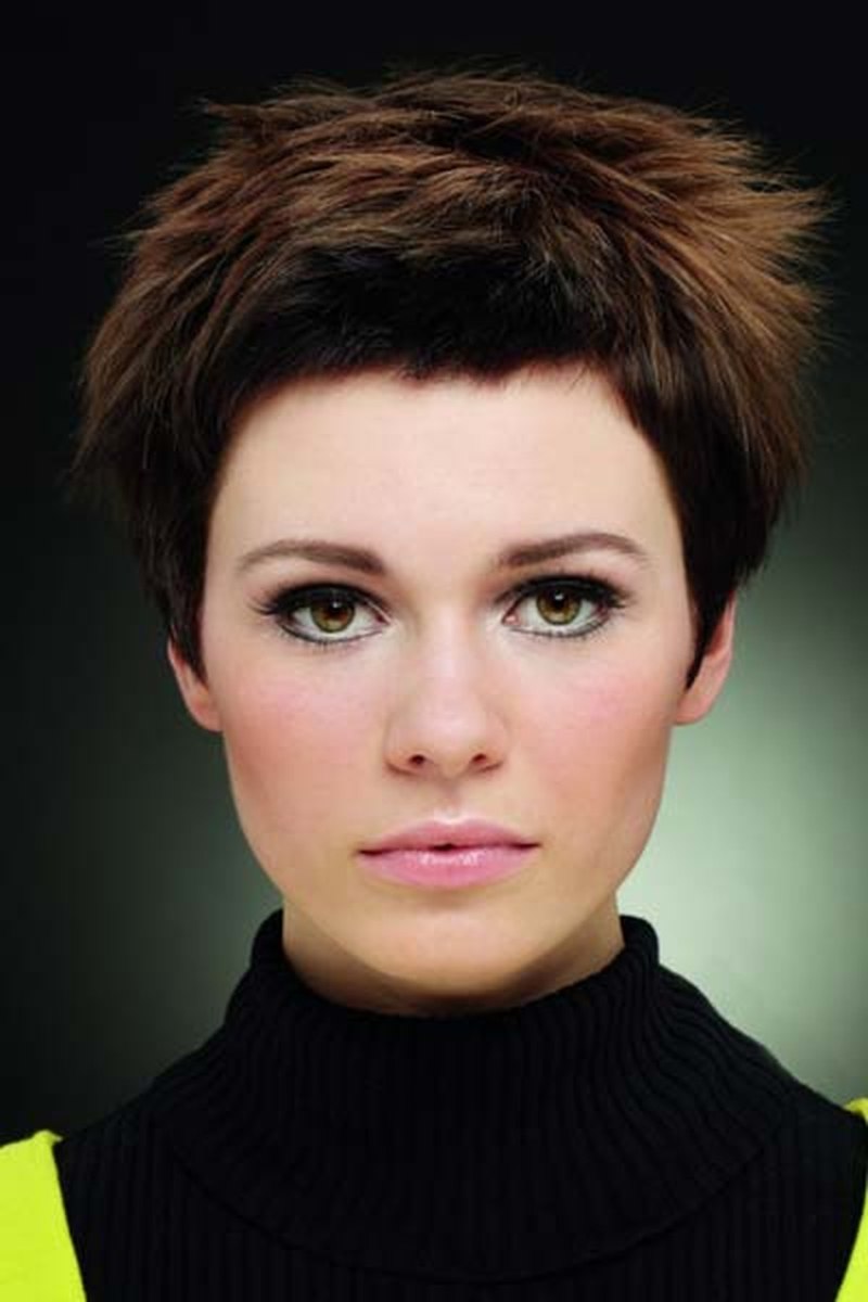 Стрижка британка андеркат