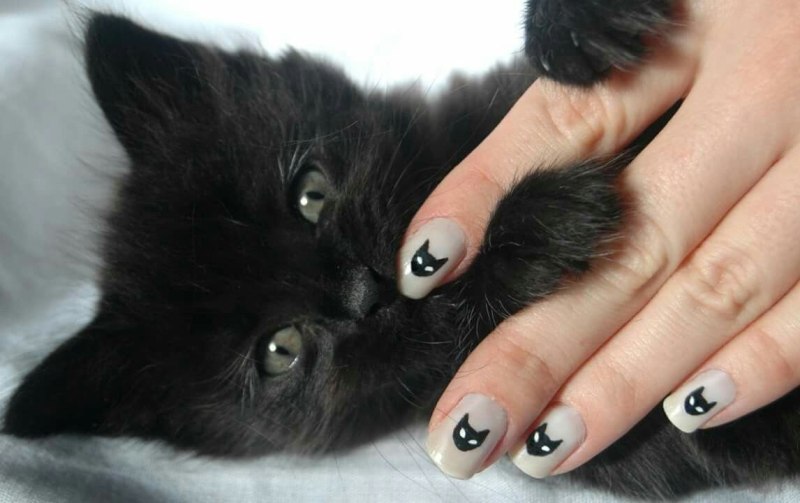 Маникюр с черными котами