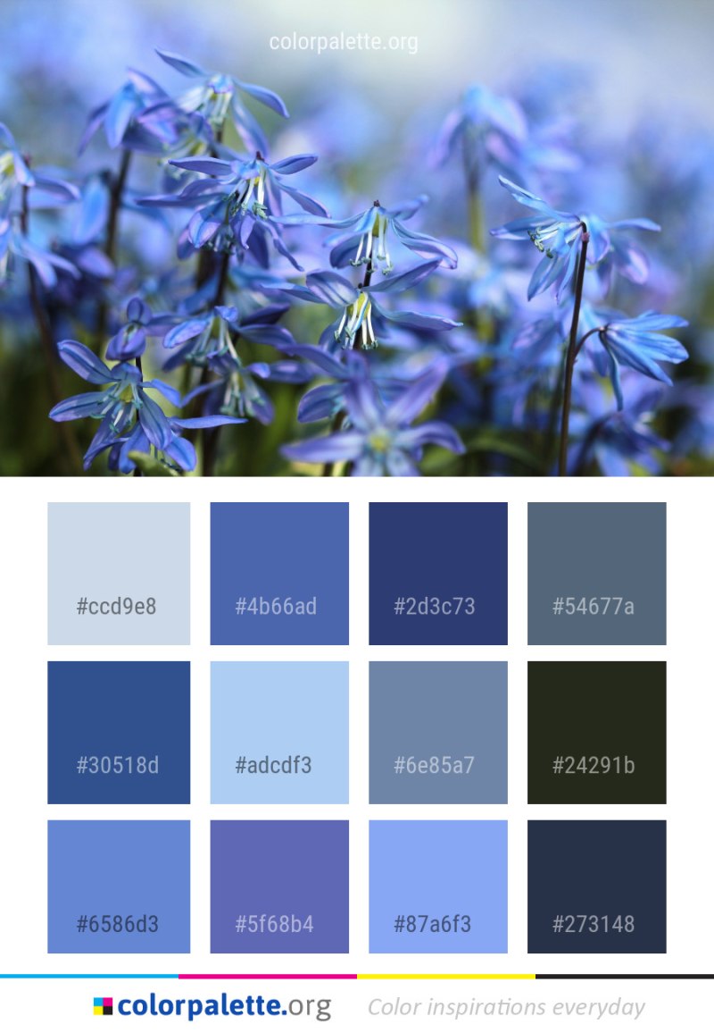 Цветовая палитра синих оттенков