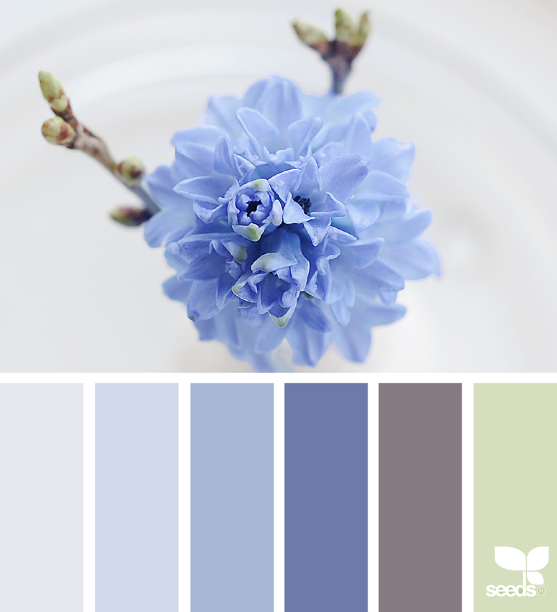 Палитра синих оттенков пантон