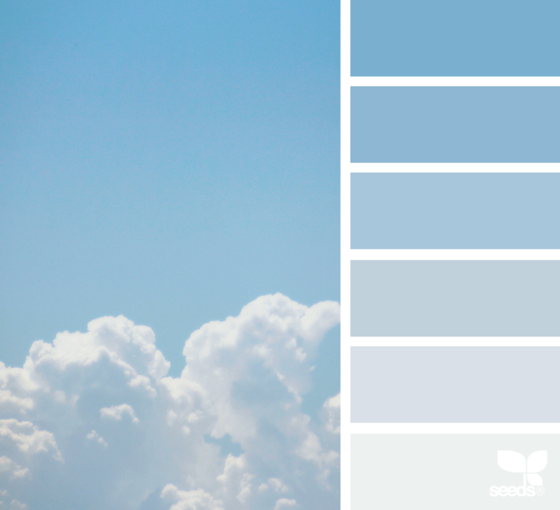 Пантон палитра Ниагара