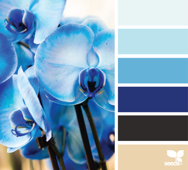 Цвет морской волны