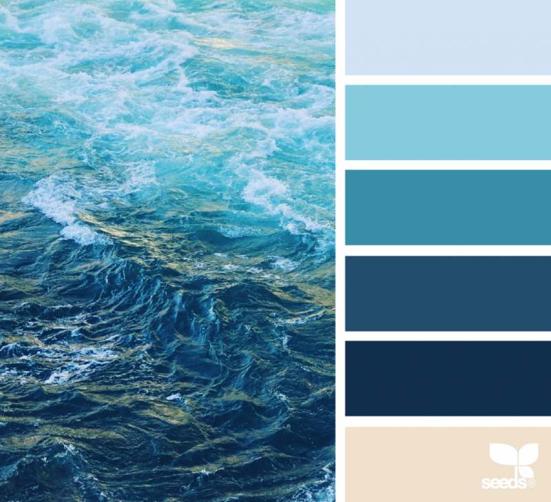 Сине фиолетовая палитра