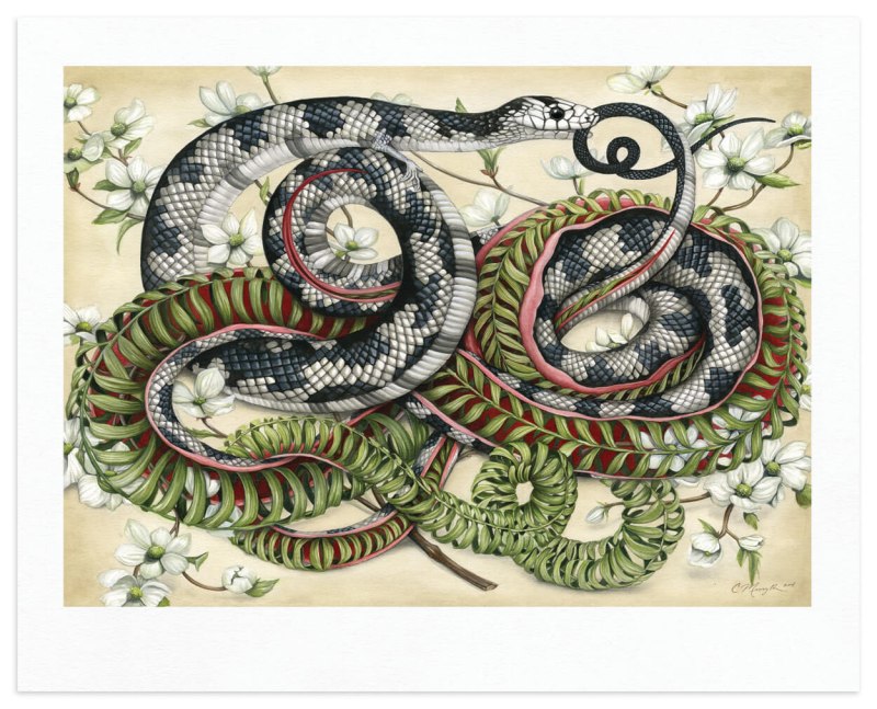 Furry Snake Анаконда