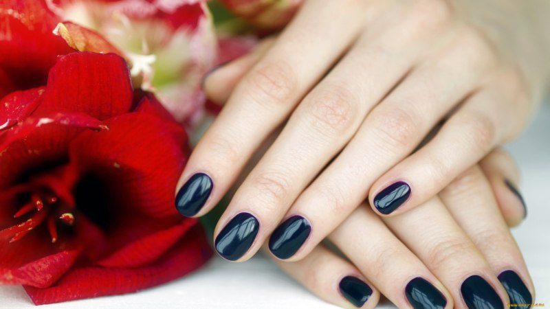 Покрытие Shellac