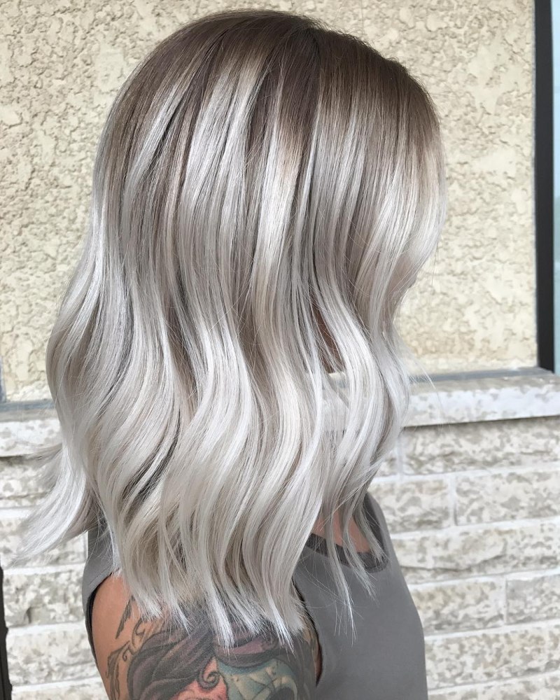 Сильвер грей ( Silver Gray )