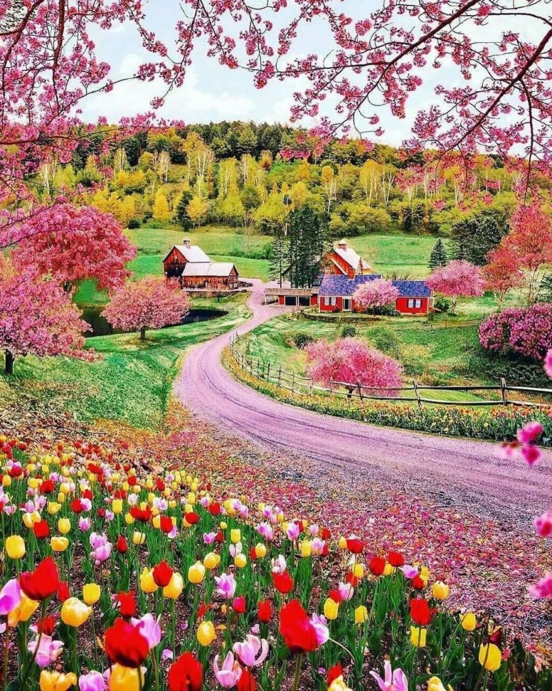 Весна природа