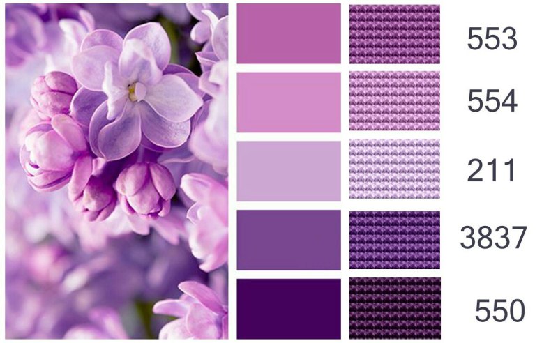 Quattro Lilac Purple 2019