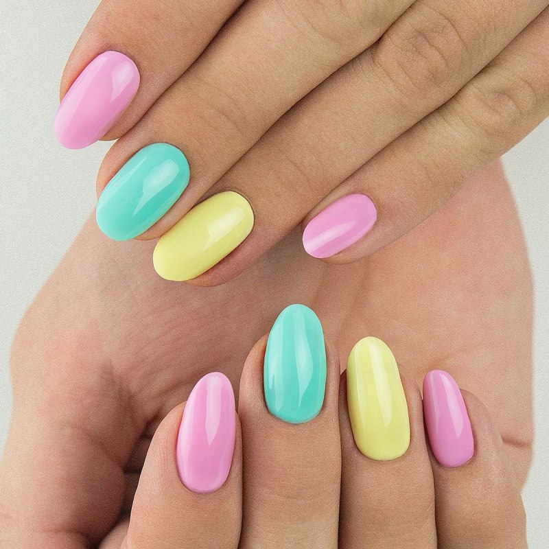 Shellac 2021