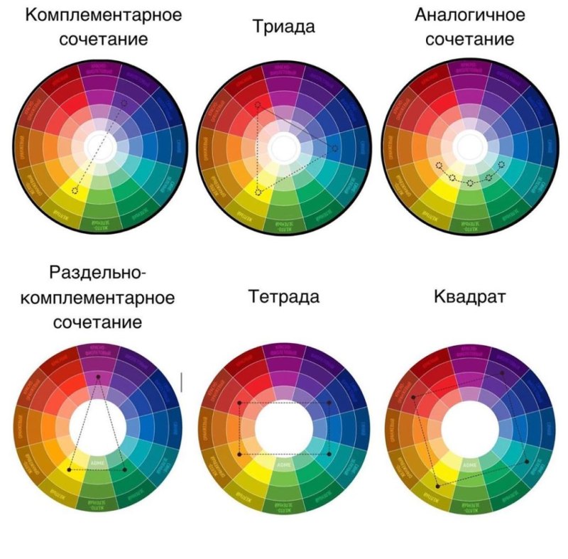 Инфографика теория цвета