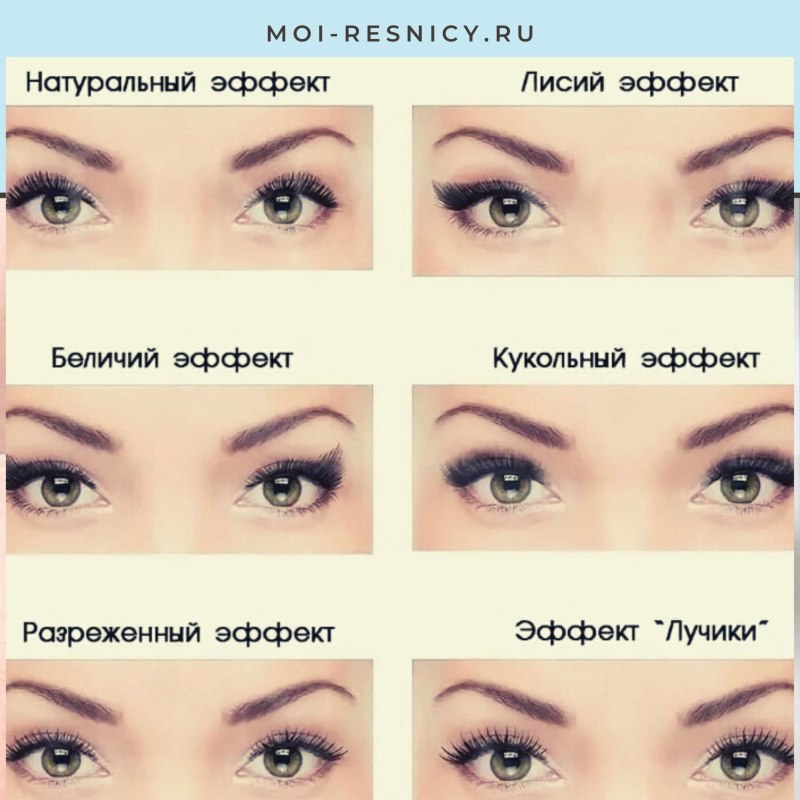 Беличий эффект наращивание ресниц 3д схема