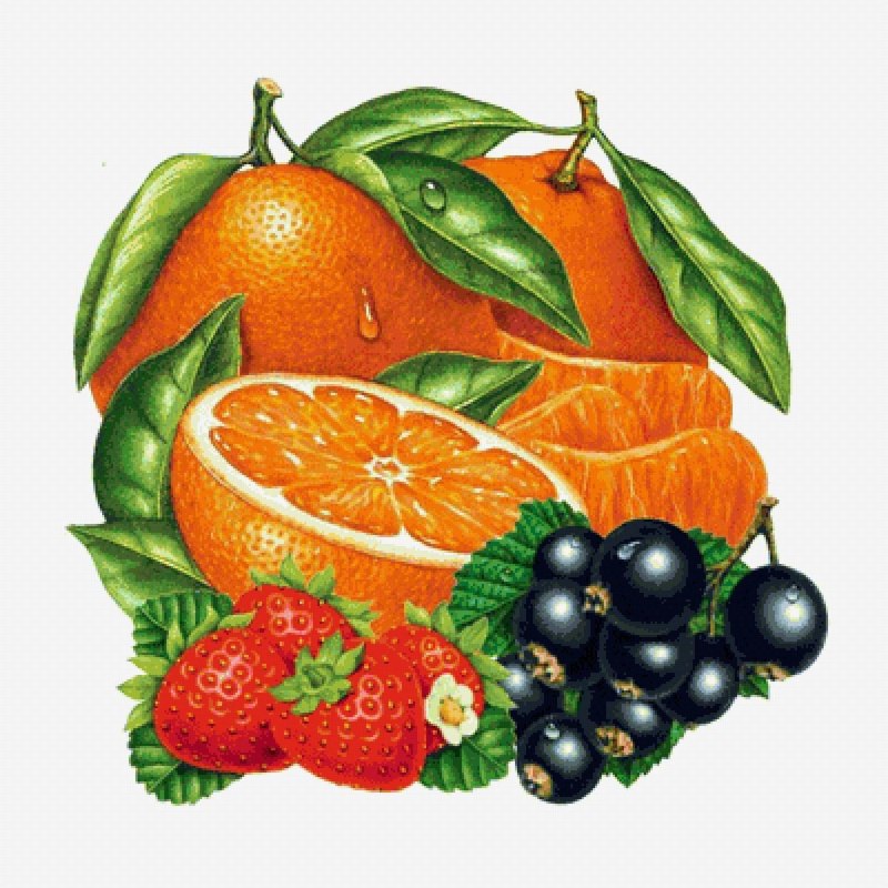 Фрукты иллюстрация