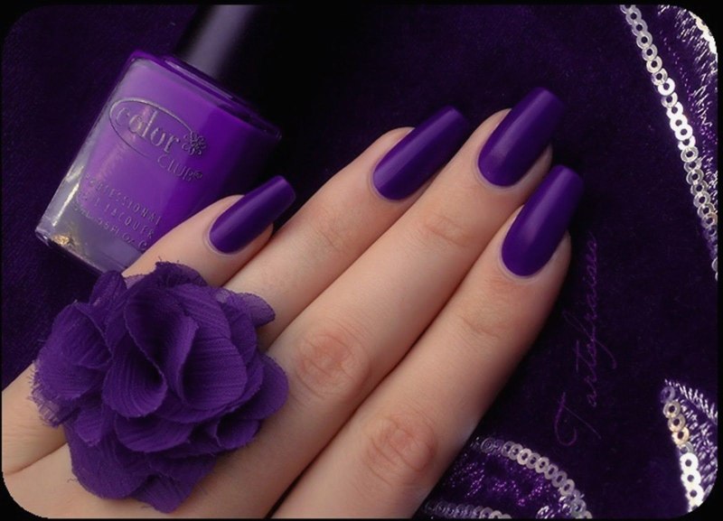 ILNP Bloodline