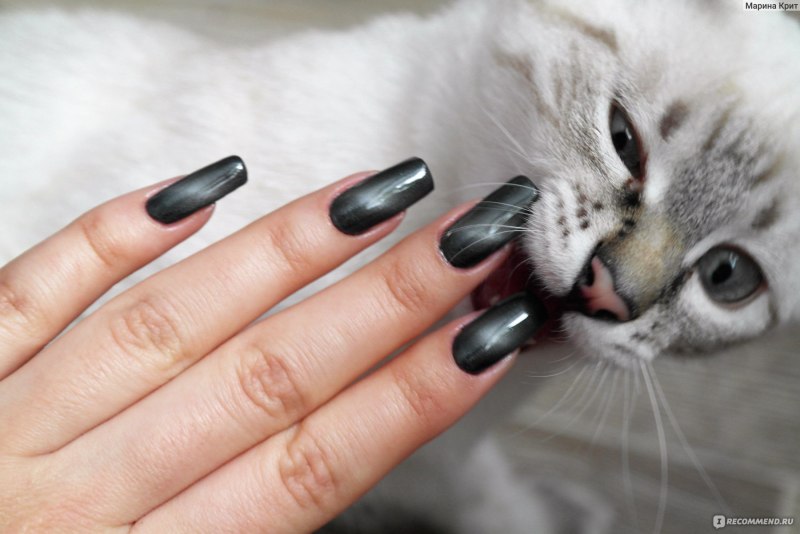 Серебристая кошка маникюр