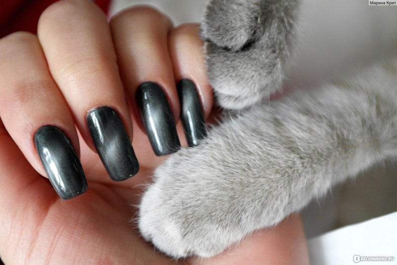 Серебряная кошка маникюр