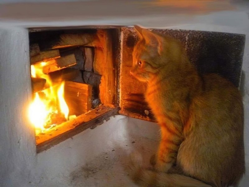 Кошка на печи