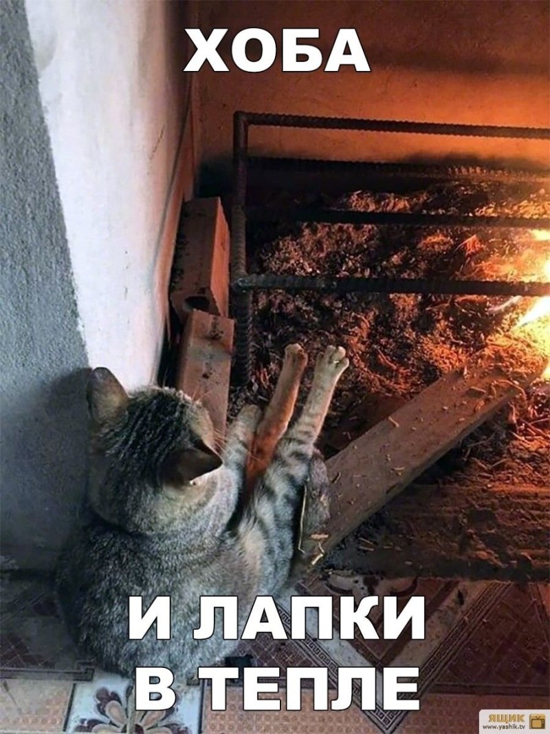 Кот на печке