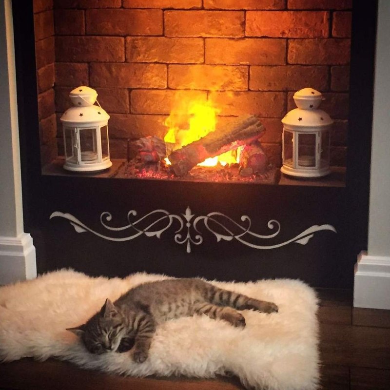 Коты возле камина