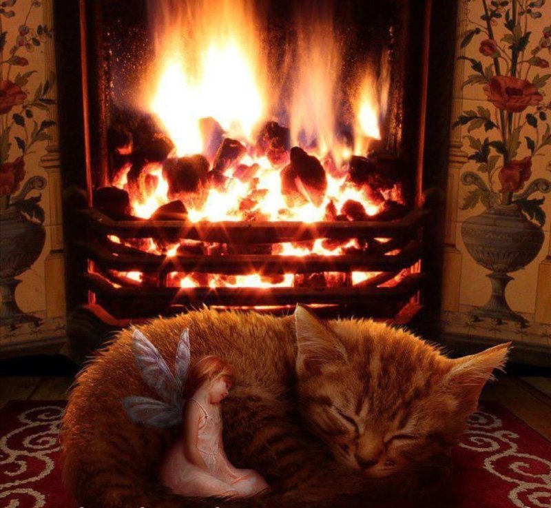 Теплый уютный камин и кот