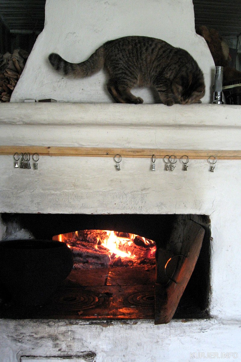 Кот на печке