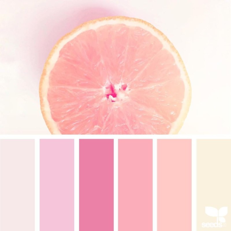Blush Dusty Rose цвет