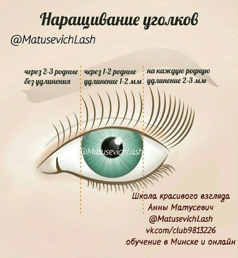 Схема наращивания ресниц классика