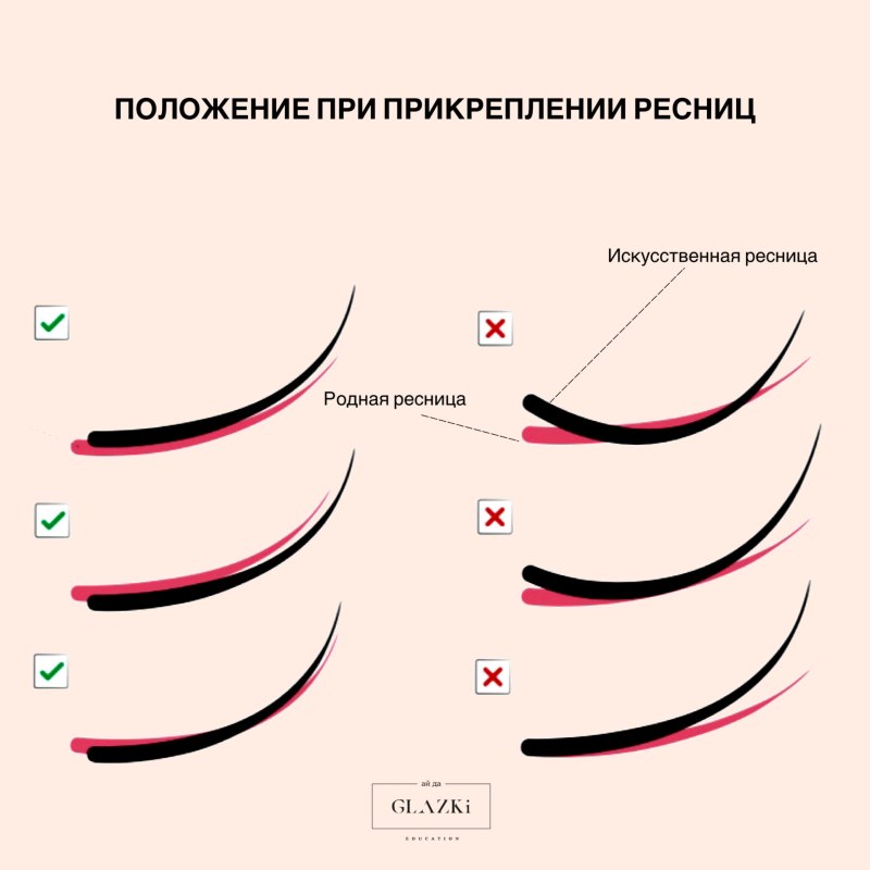 Схема правильного наращивания ресниц
