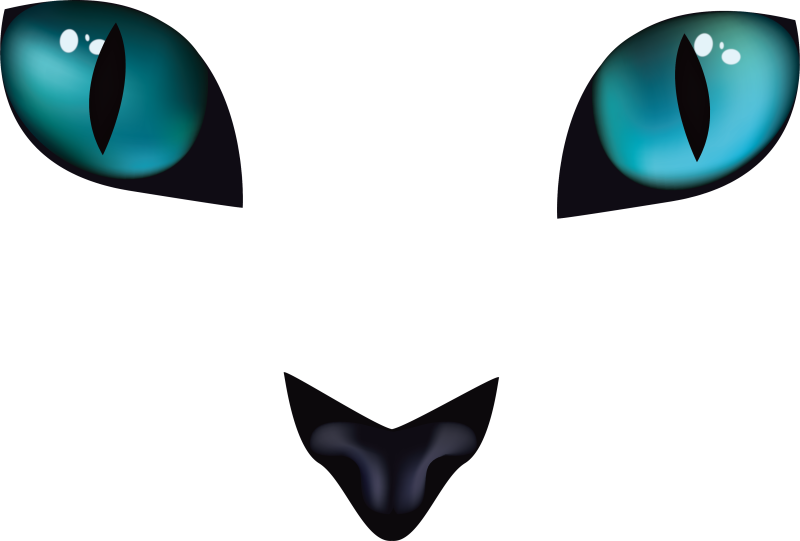Глаза кошки