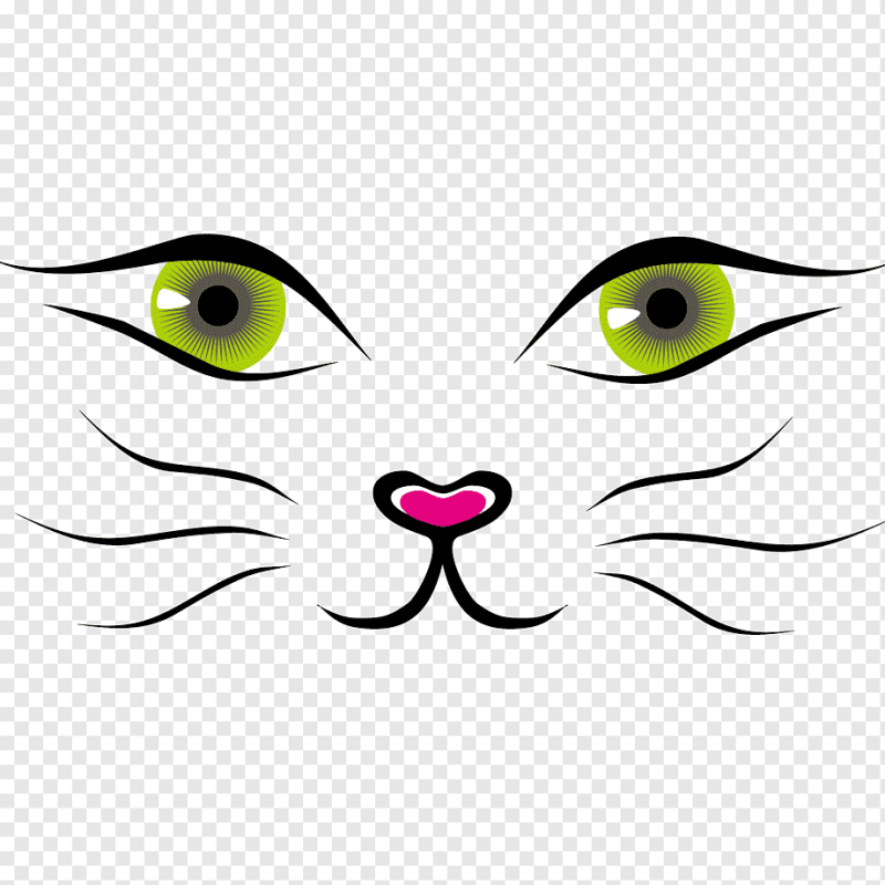 Кошачьи глаза в темноте