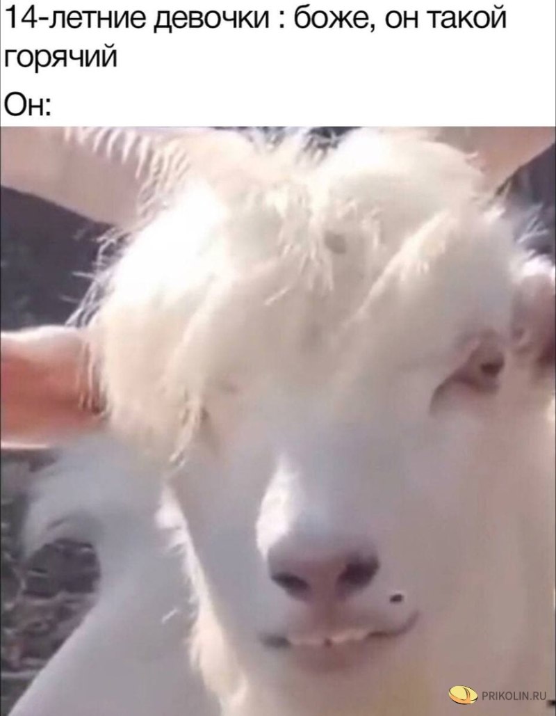 Белая коза
